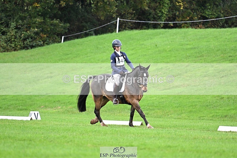 241025-093213-05812 - 441-Molly.Swain-SOCKS