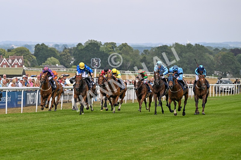 140726-Race 5-Crafty Spirit-1561 - Race 5 16.23pm Connexin Gigabit Gallop Handicap