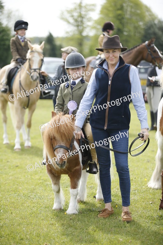 20260426-2164 - Class 9 - Handsomest Gelding