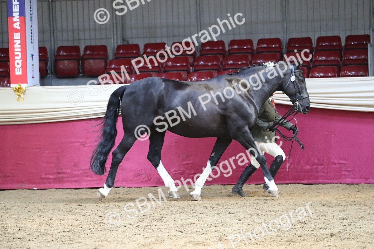 SBM_06549 - Regional IH Champ