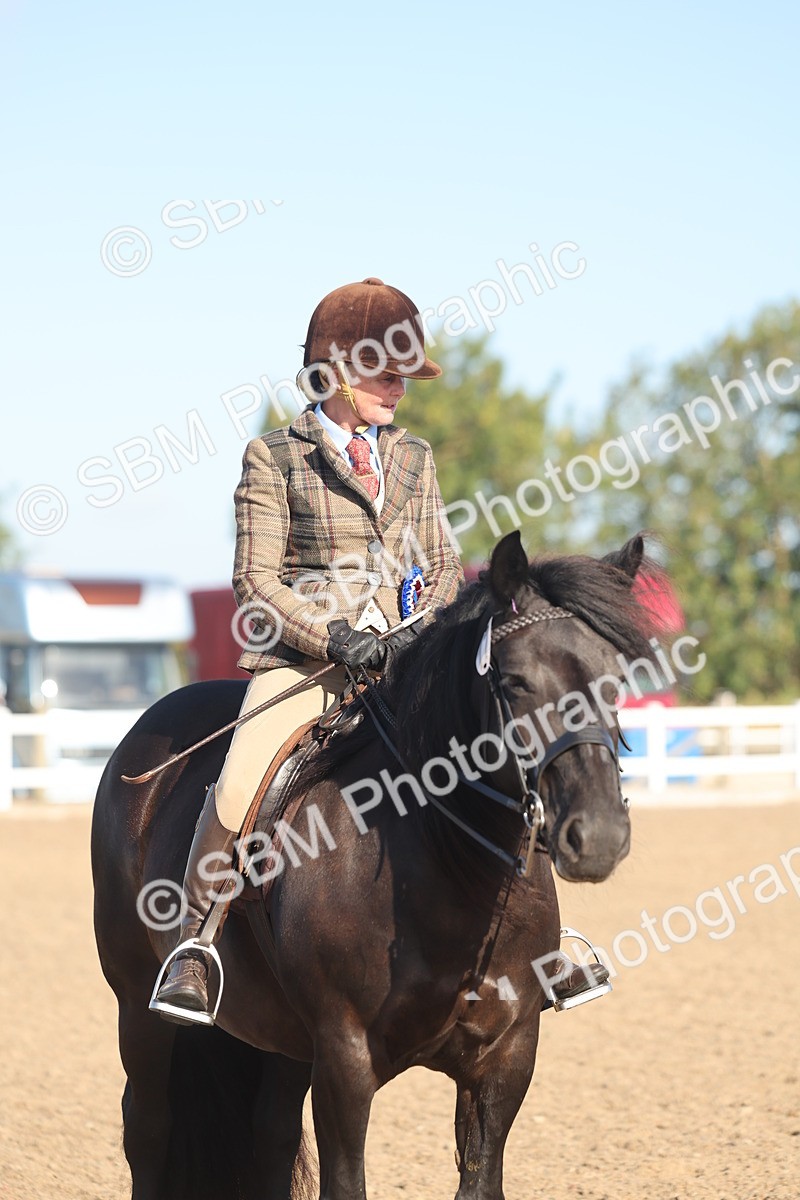 SBM_22140 - Class 801 - Ridden Veterans