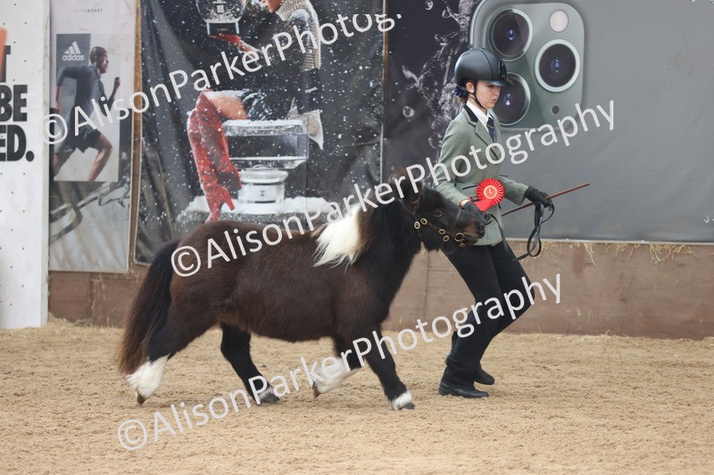 20251109-0265 - Class 11 - 2 and 3 Year Old