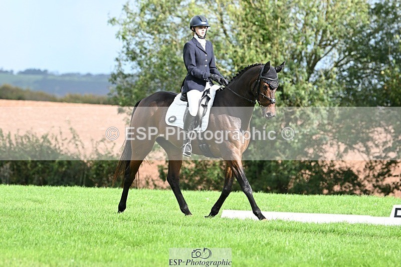 231020-142358-10632 - 497-ECCLESBOURNE.SHARK.BAY-Alice.Winter-DR
