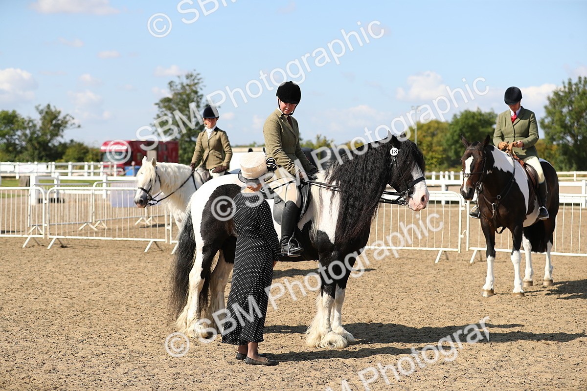 SBM_03221 - Class 44 Riding Club Horse/ Pony