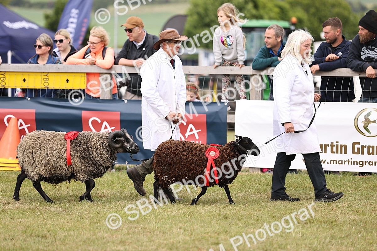 SBM_16865 - Grand Parade