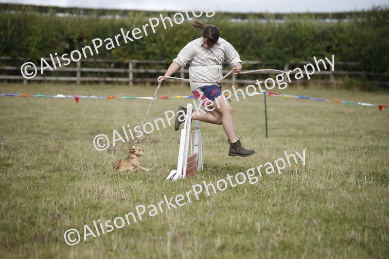 20250831-3875 - Dog Show