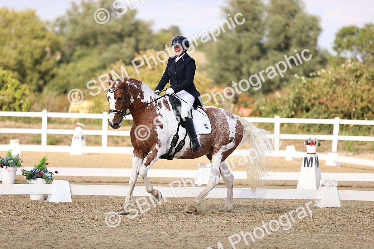 SBM_015456 - Class 11 - FEI PSG