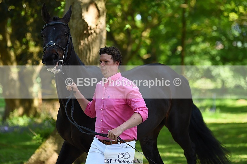 230524-154800-00512 - 363-RLE_KHALEESI_C-Christopher_Wincer-WEDTrotUp+DR