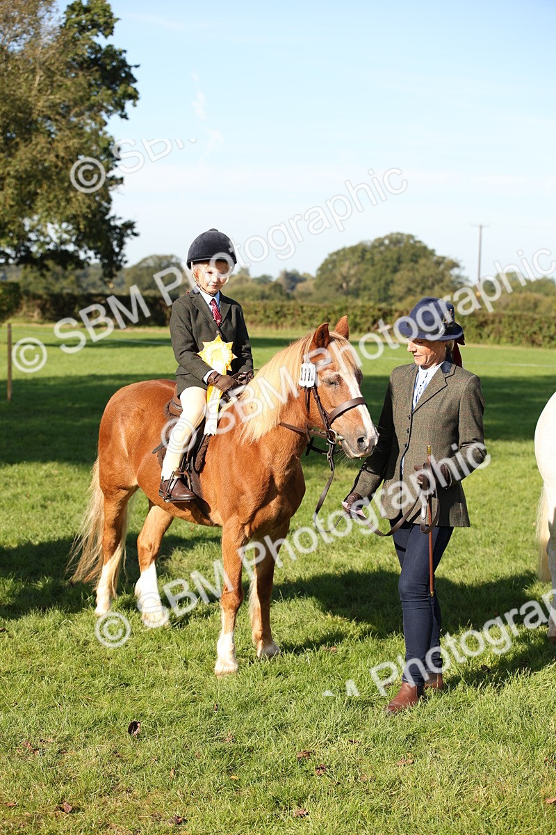 SBM_35760 - S9 - Lead Rein Equitation