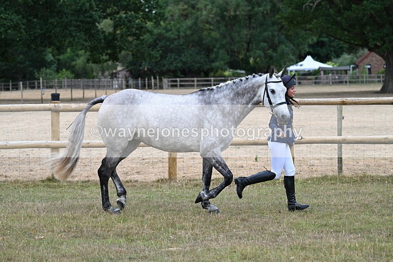 WJ7_8718 - Class 4a Prettiest Mare 14.2hh and over