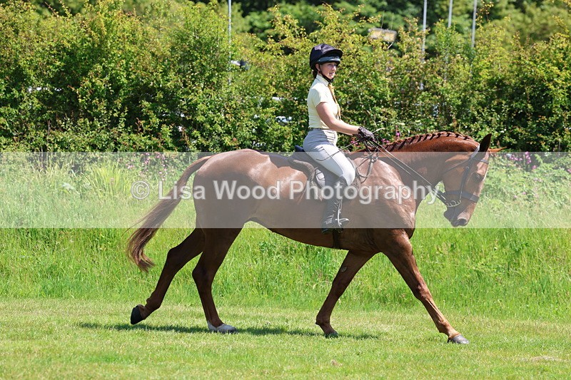 3E7A8059 - Working Hunter Championship