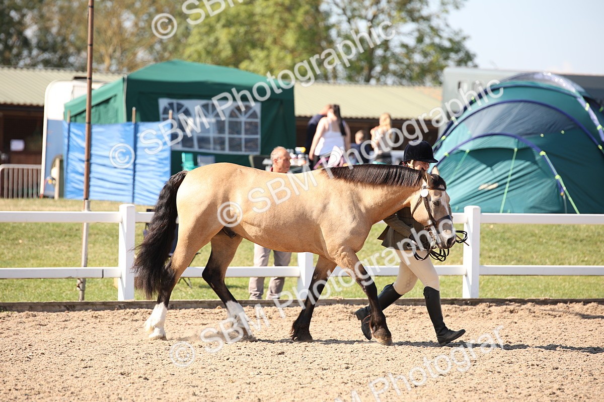 SBM_02669 - Class 16 IH M&M Wildcard