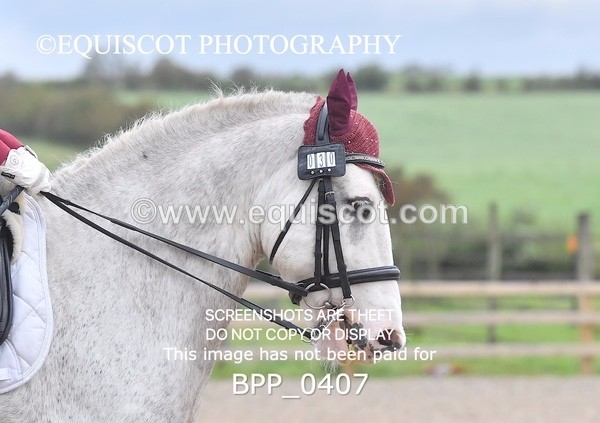 BPP_0407 - ELEM 6 & 4