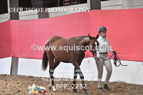 BPP_2252 - AFTERNOON 12.30 - 3.30PM