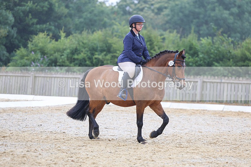 3E7A8492 - Class 2: Intro 3 2024 section B