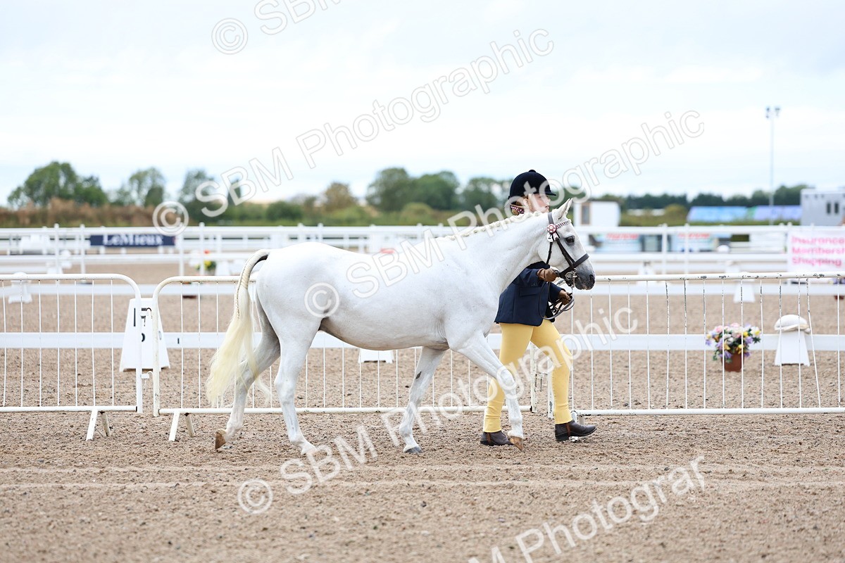 SBM_00222 - Class 13 - Young Handler