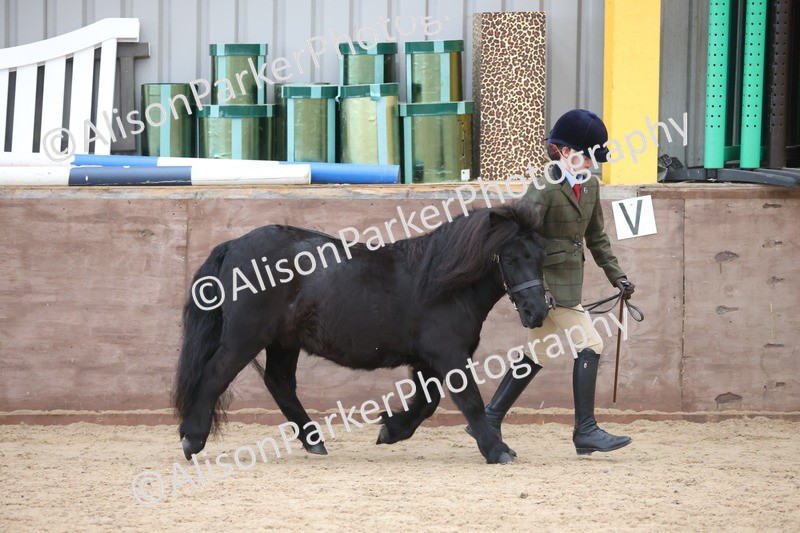 20251109-1197 - Young Handler Championship