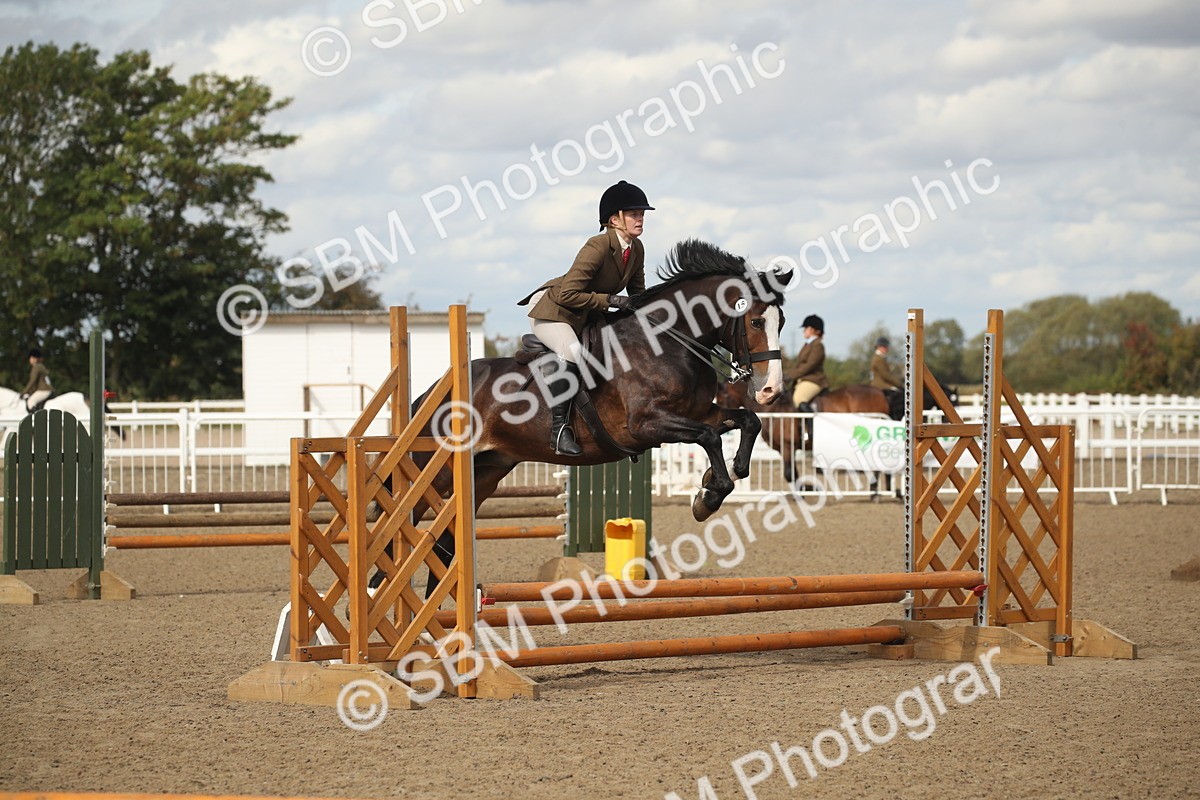 SBM_14510 - Class 505a - M&M Working Veteran - 50cm (15-19)