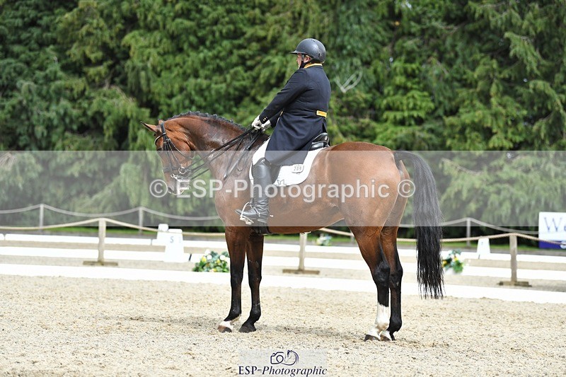 230812-151341-04953 - Cls 8 FEI PSG Silver