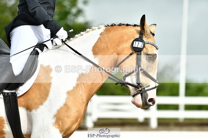 230708A-093631-02158 - Prelim 13