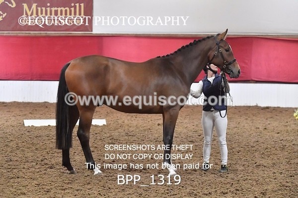 BPP_1319 - MORNING 9AM - 12PM