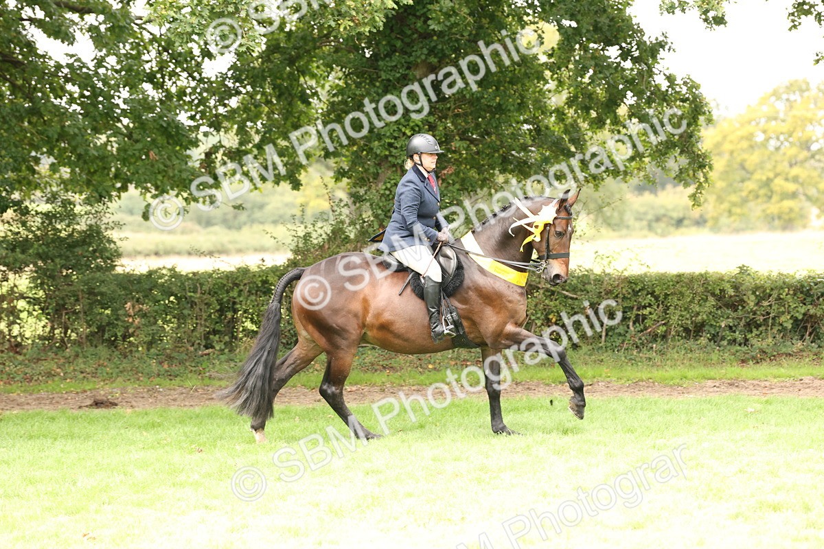 SBM_63060 - S64 - Foreign Breeds Ridden