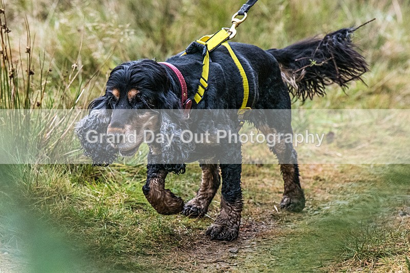 Glentress-1595 - High Terrain Events Glentress 21 & 10K Trail Races Saturday 15th November 2025