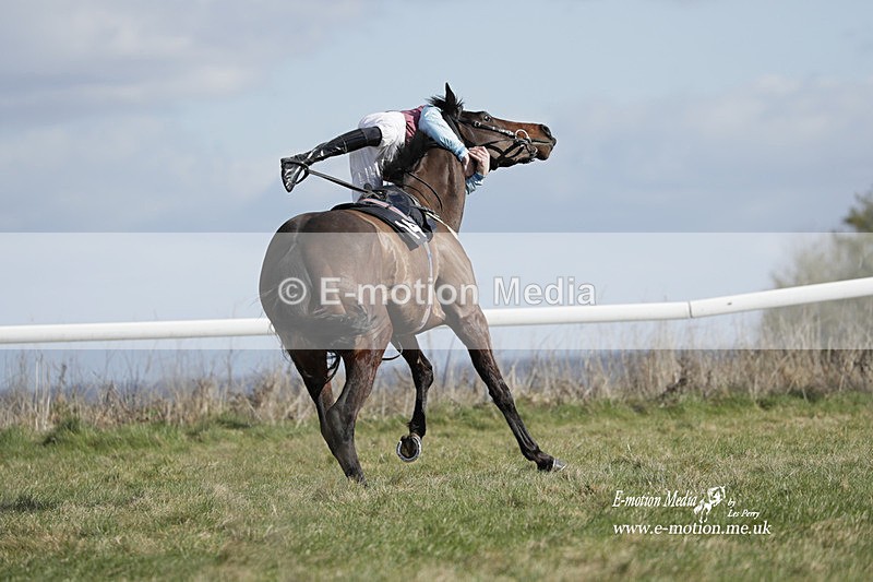 PtP 260223 514 - South & West Wilts Point-to-Point Larkhill 26/02/23