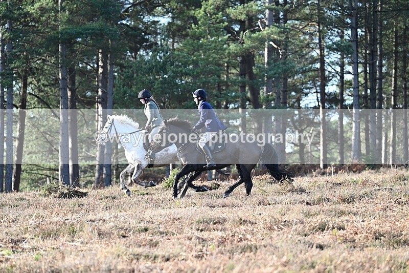 WJ7_7067 - Line 3 (no line 4 or 5)