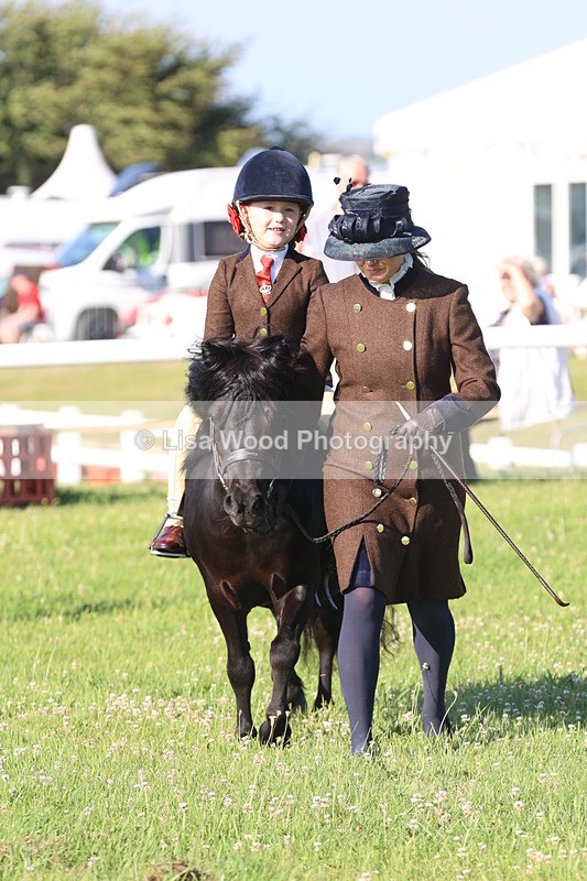 JPP_0874 - Class 16: Cornish Combination Leading Rein