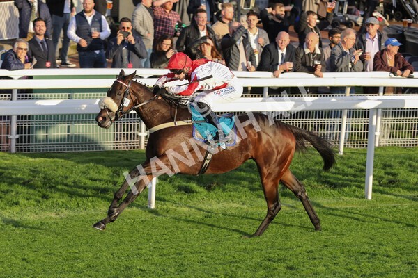 yr07102022r7-24 - Race 7 5.35pm IRE Incentive, It Pays To Buy Irish Stakes