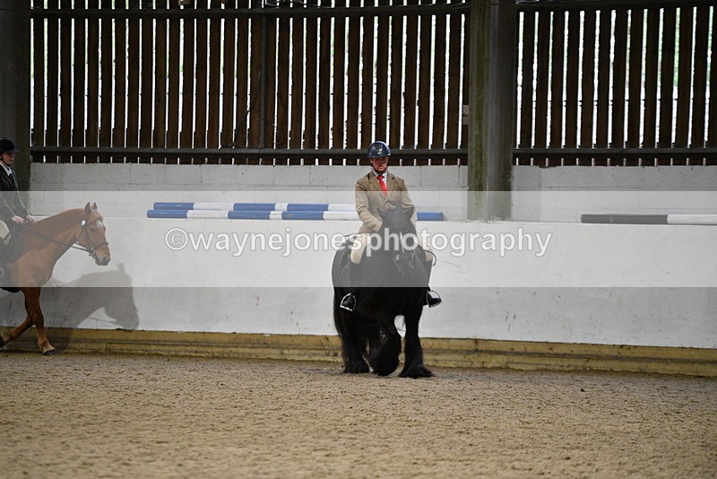 WJ5_8127 - Class 14 Novice Ridden/Rider
