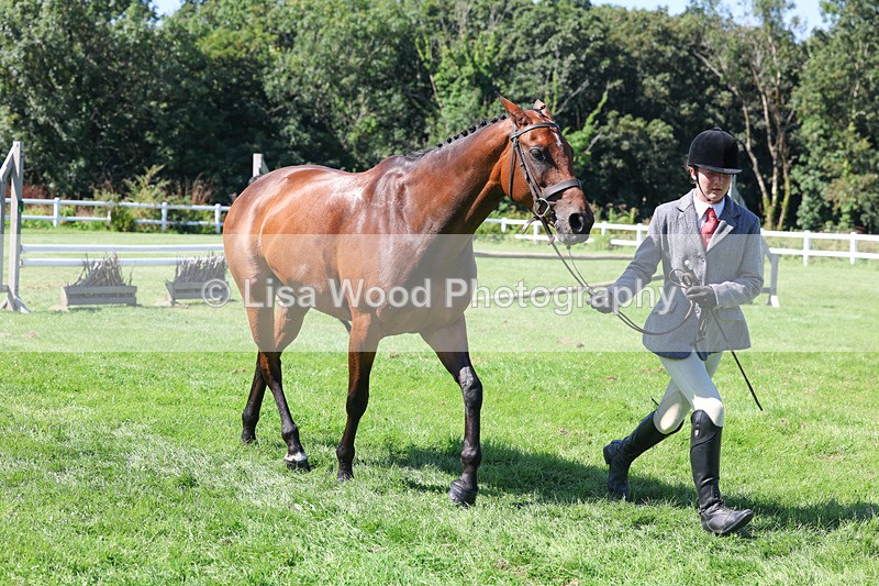 3E7A8502 - Class 4: Novice working Hunter