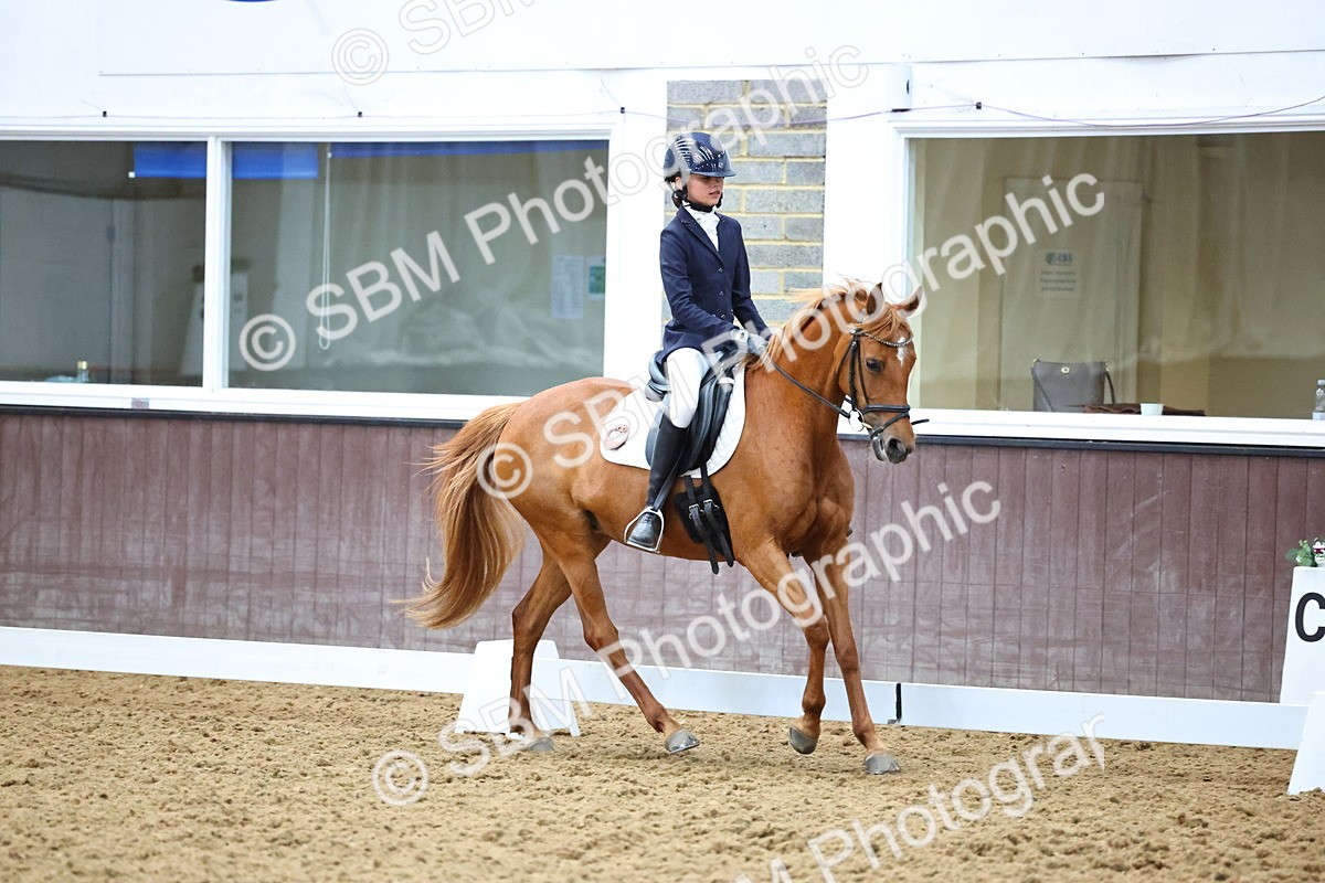 SBM_003984 - Novice 2