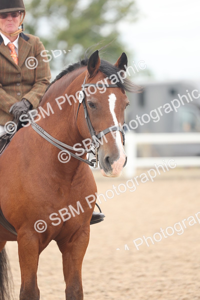SBM_18173 - Class 315 - Best Horse-Rider Combination