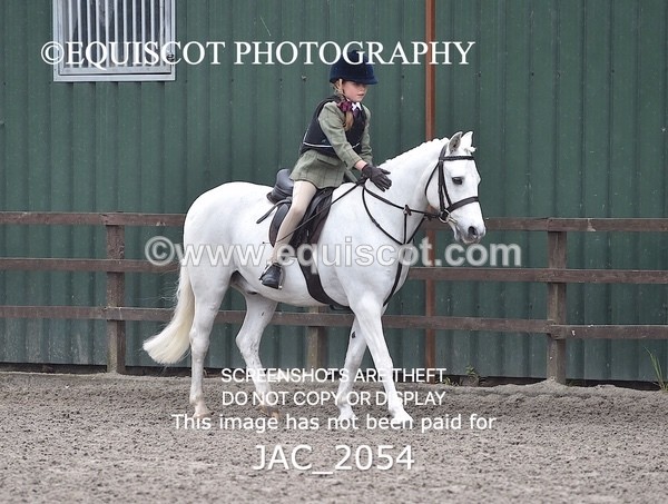 JAC_2054 - CLASS 1 Nursery Novice Working Hunter