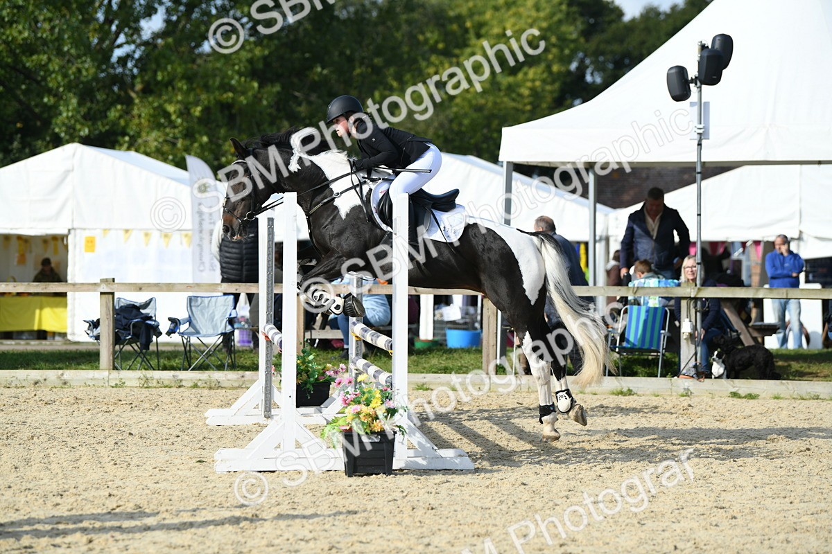 SBM_60750 - j25 - Junior Horse 80cm Championship