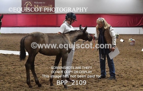 BPP_2109 - AFTERNOON 12.30 - 3.30PM