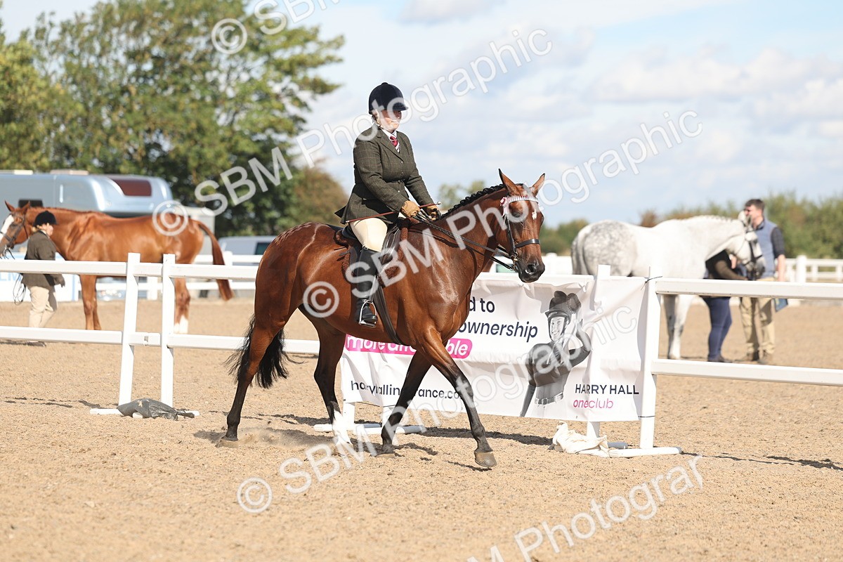 SBM_13171 - Class 306 - Ridden Foreign Breds - Part Bred