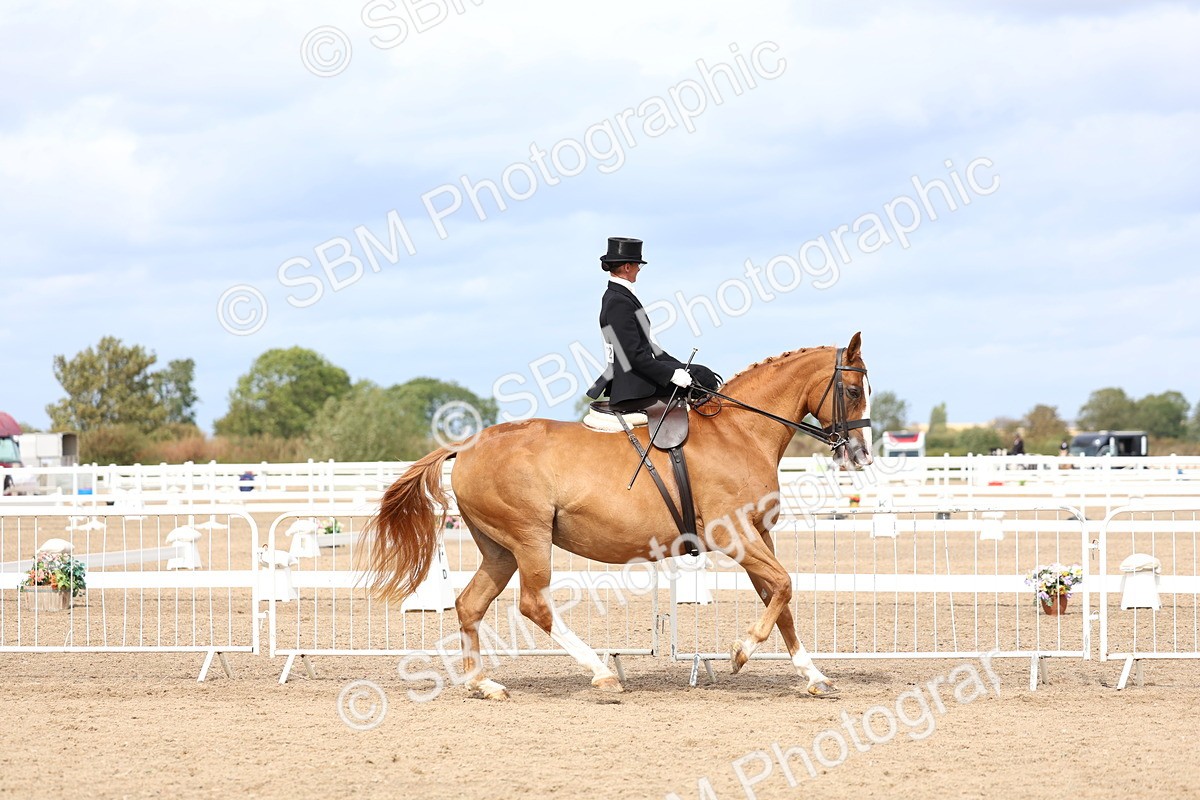 SBM_03316 - Class 23 - SSA Classical (any age)