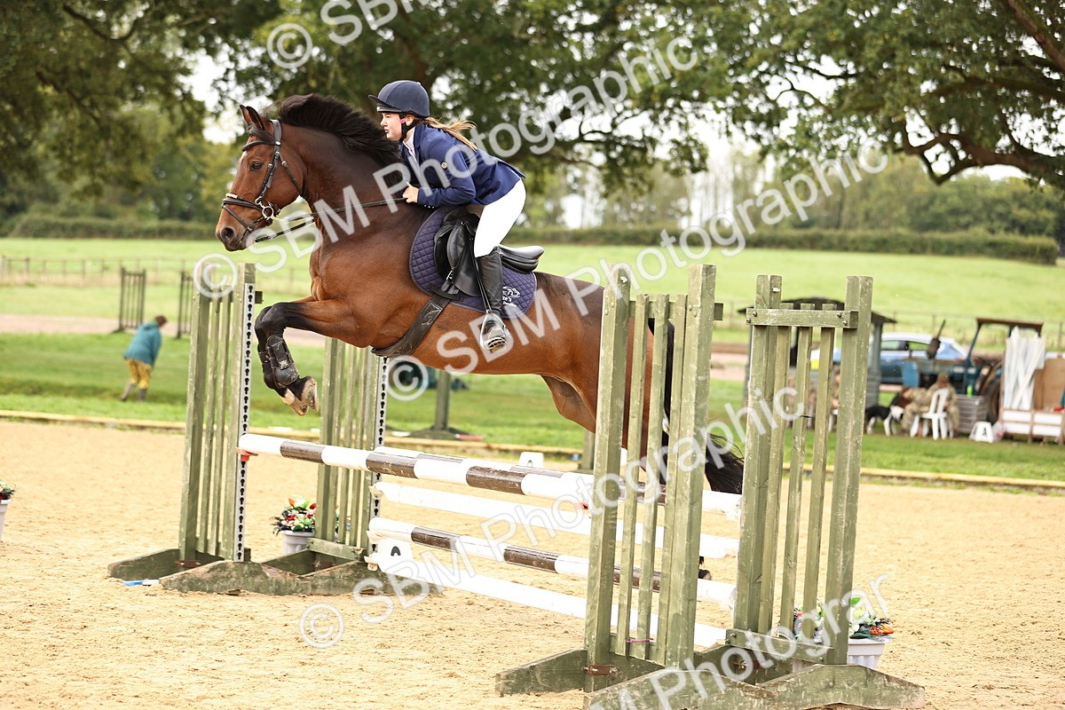 SBM_58504 - J41 - Grand Tour Horse & Pony 95cm