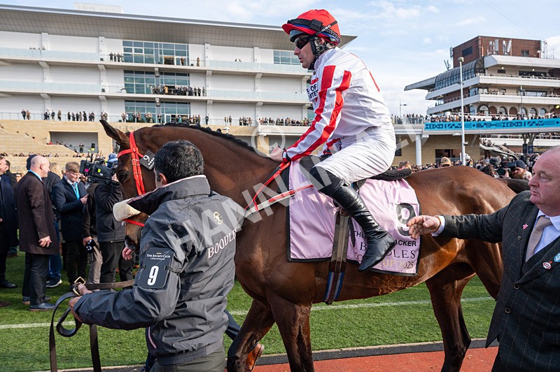 140325-The Real Whacker-WR-9655 - 14th March