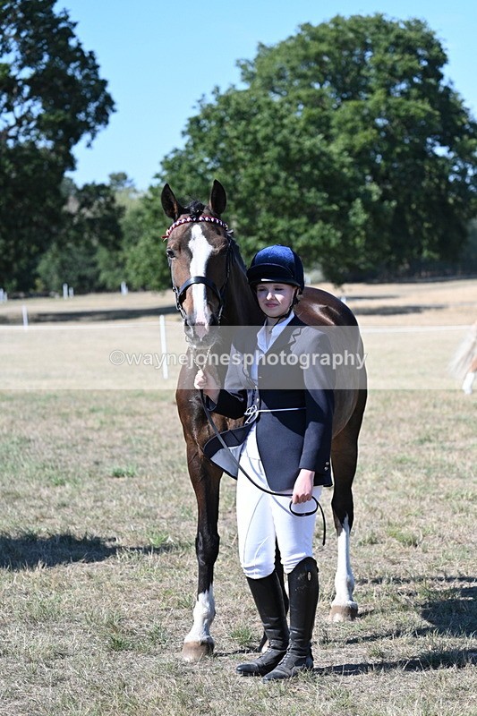 WJ7_1574 - Class 42 Most Handsome Gelding