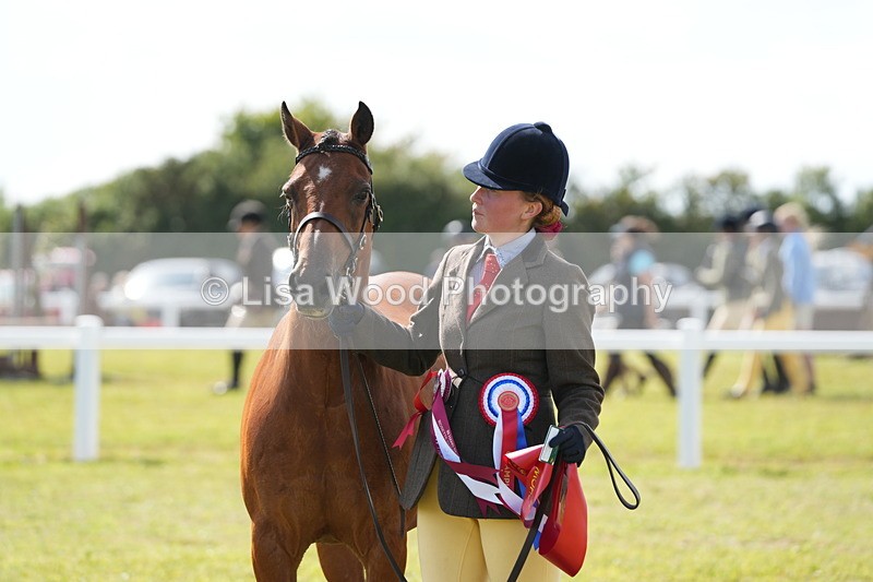 DSC07508 - Pony Breeding Championship