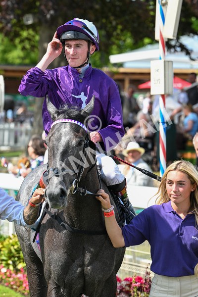 130625-Race 4-India Love-9339 - Race 4 3.35pm Juddmonte EBF Fillies' Restricted Novice Stakes