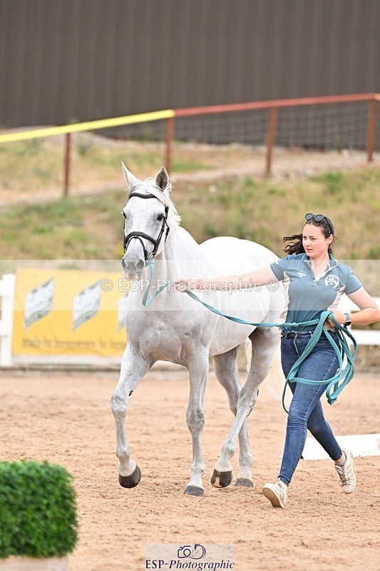 250716-155414-02260 - Trot Up 3.30 to 4.30