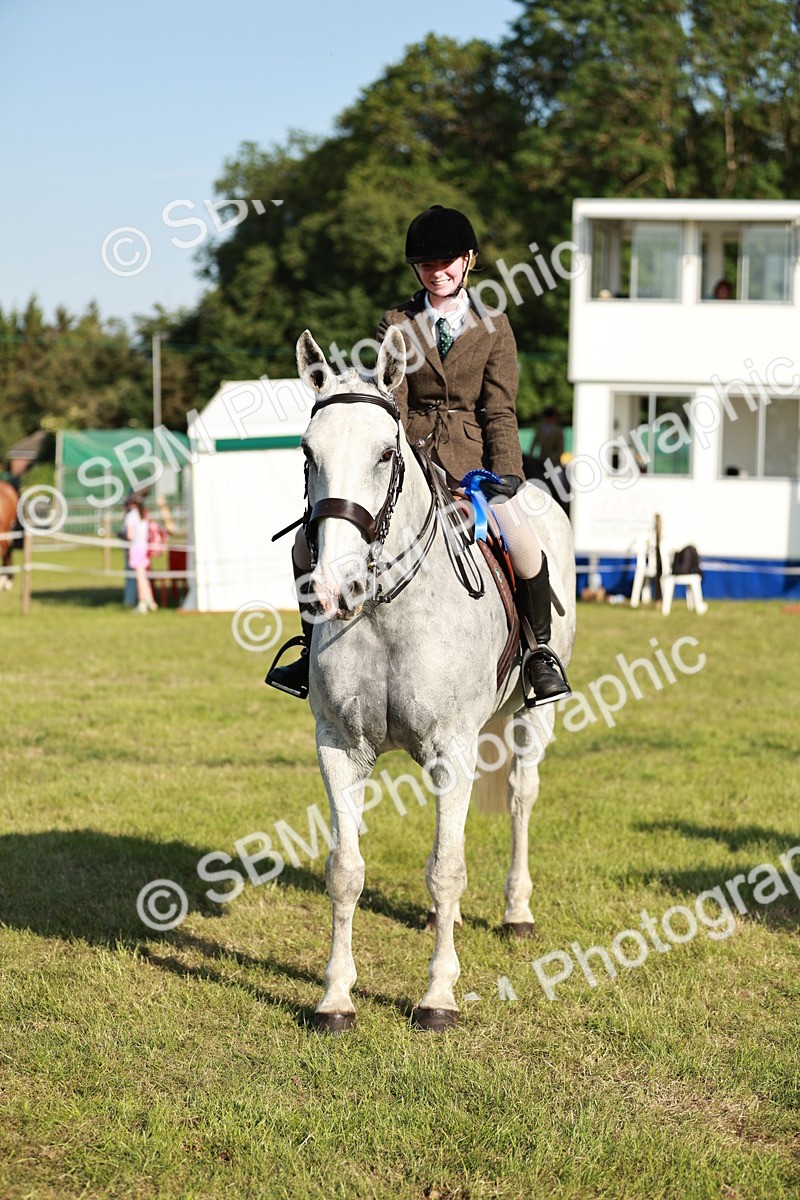 SBM_20048 - Class 115-116 - LIHS BSHA Rising Star Working Hunter & Show Horse
