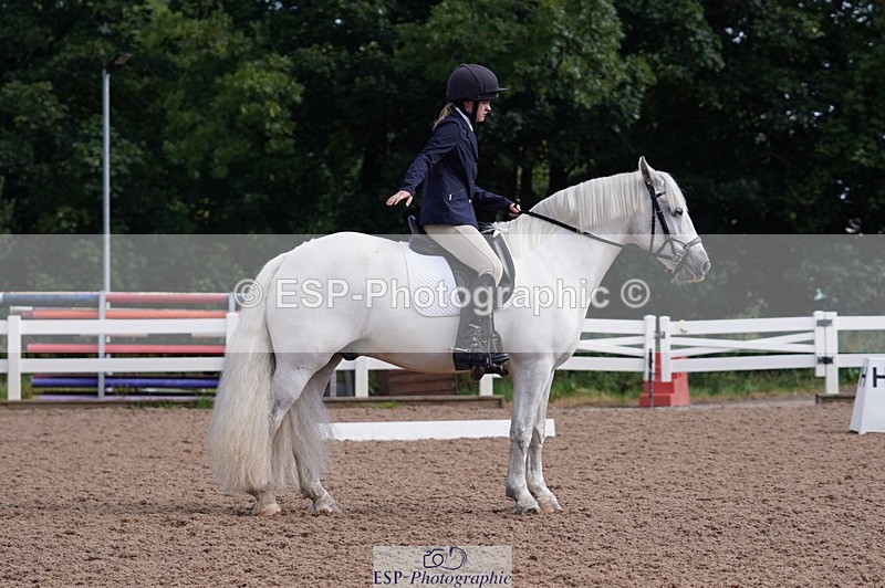 240809A-093452-00290 - Dressage Competition