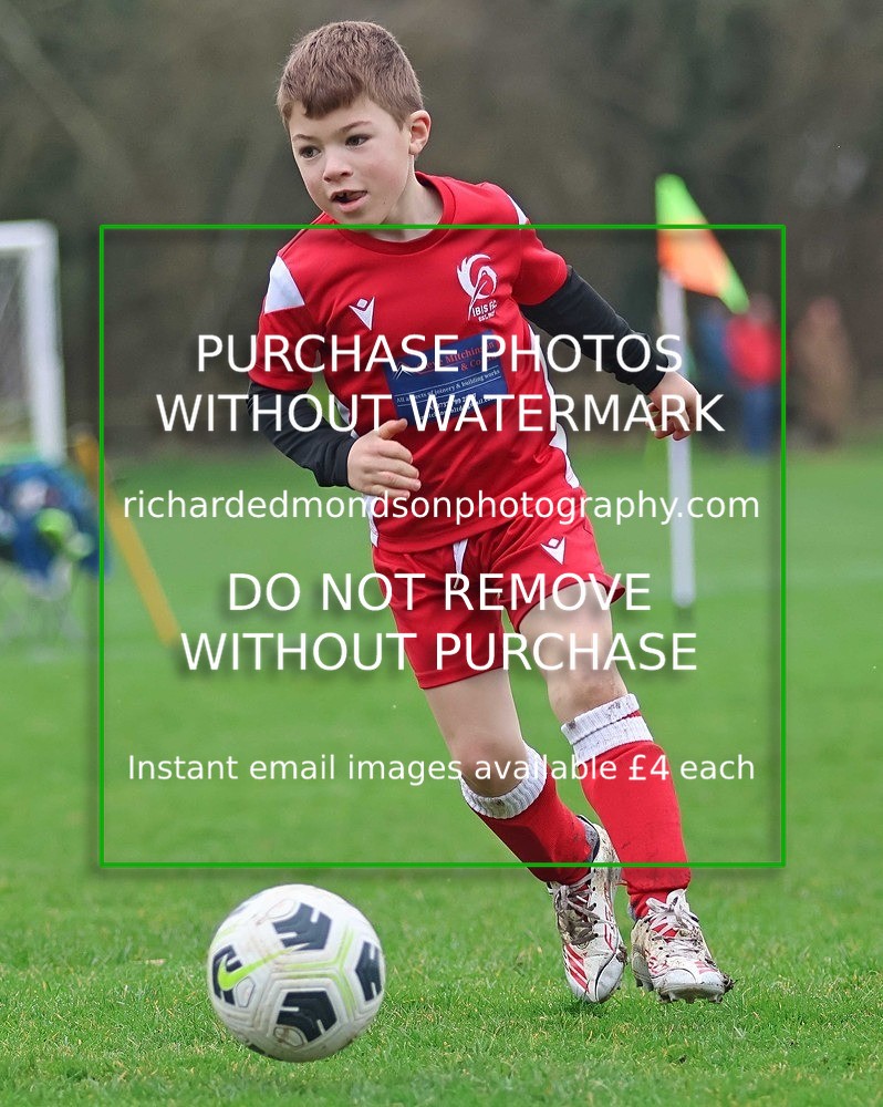 533A0924 - Ibis Under 7's (28/2/26)