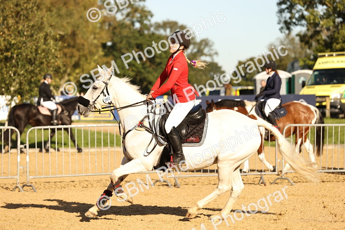 SBM_34676 - J38 - Senior 80cm Championship